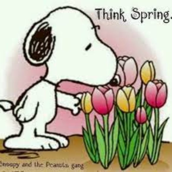 Think Spring! Think Warmer Weather! Shop for Spring Dresses - Picture 2 of 2